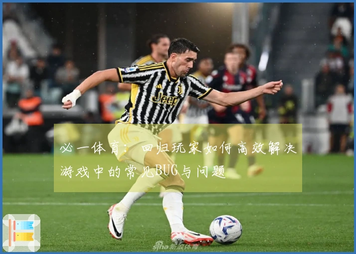 必一体育：回归玩家如何高效解决游戏中的常见BUG与问题