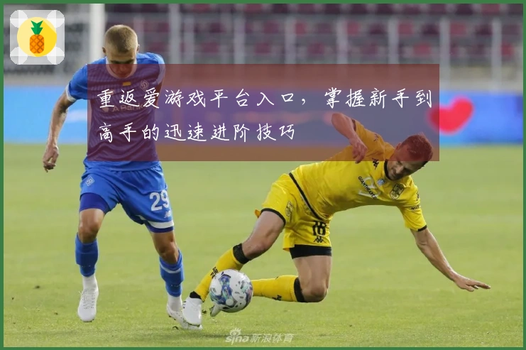 重返爱游戏平台入口，掌握新手到高手的迅速进阶技巧