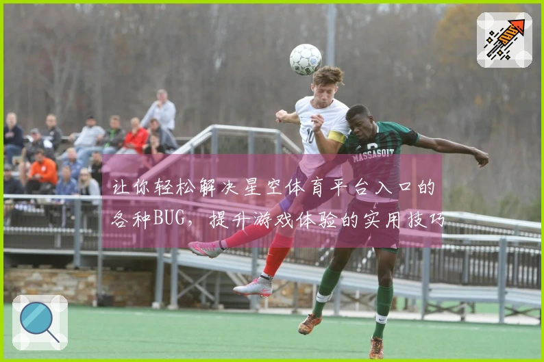 让你轻松解决星空体育平台入口的各种BUG,提升游戏体验的实用技巧分享