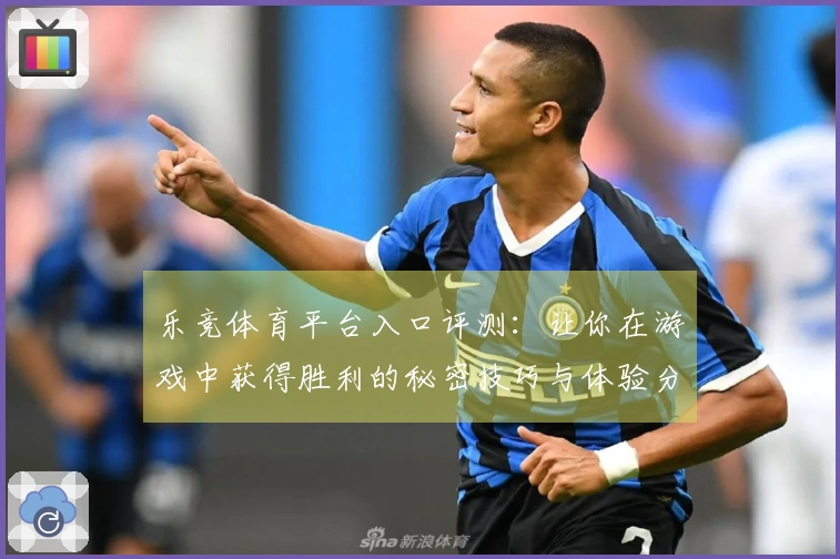 乐竞体育平台入口评测：让你在游戏中获得胜利的秘密技巧与体验分享