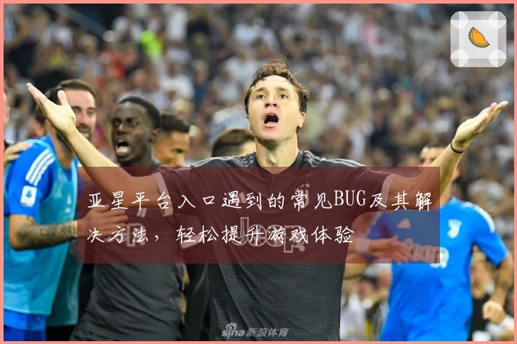 亚星平台入口遇到的常见BUG及其解决方法，轻松提升游戏体验